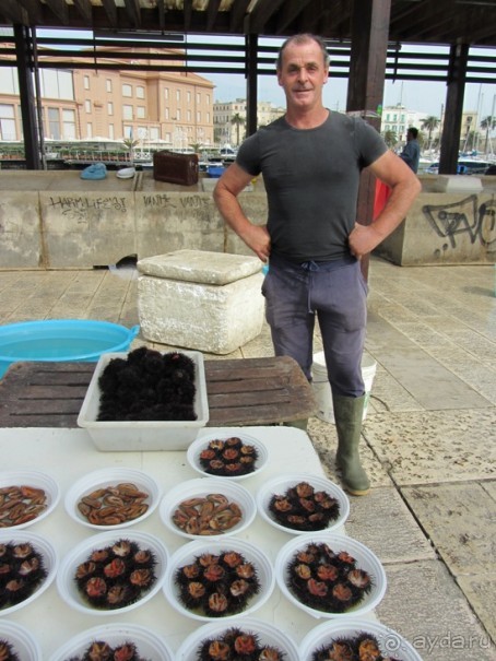 Апулия и Матера – впечатления без погружения. Мольфетта, Джовинаццо и опять Бари