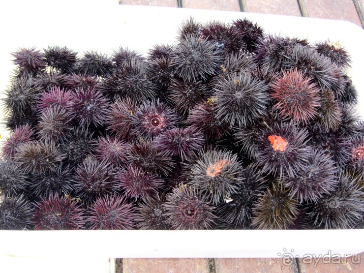 Апулия и Матера – впечатления без погружения. Мольфетта, Джовинаццо и опять Бари