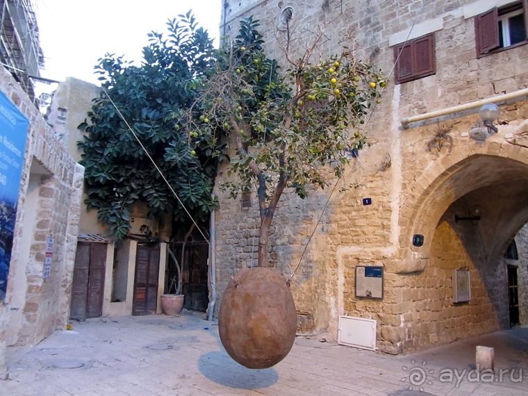 Второе пришествие в Израиль: Тель-Авив - Хайфа - Акко - Цфат - Галилея. Часть 7