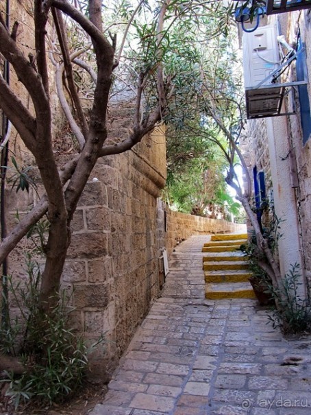 Второе пришествие в Израиль: Тель-Авив - Хайфа - Акко - Цфат - Галилея. Часть 7