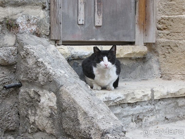 Второе пришествие в Израиль: Тель-Авив - Хайфа - Акко - Цфат - Галилея. Часть 7