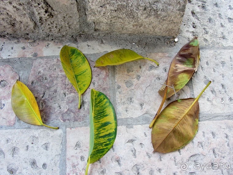 Второе пришествие в Израиль: Тель-Авив - Хайфа - Акко - Цфат - Галилея. Часть 7