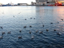 Тайны Барселоны, или была ли жизнь до Гауди ? Часть 2