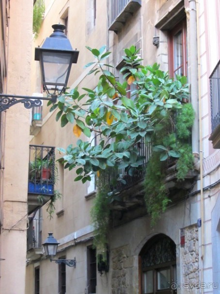 Тайны Барселоны, или была ли жизнь до Гауди ? Часть 2