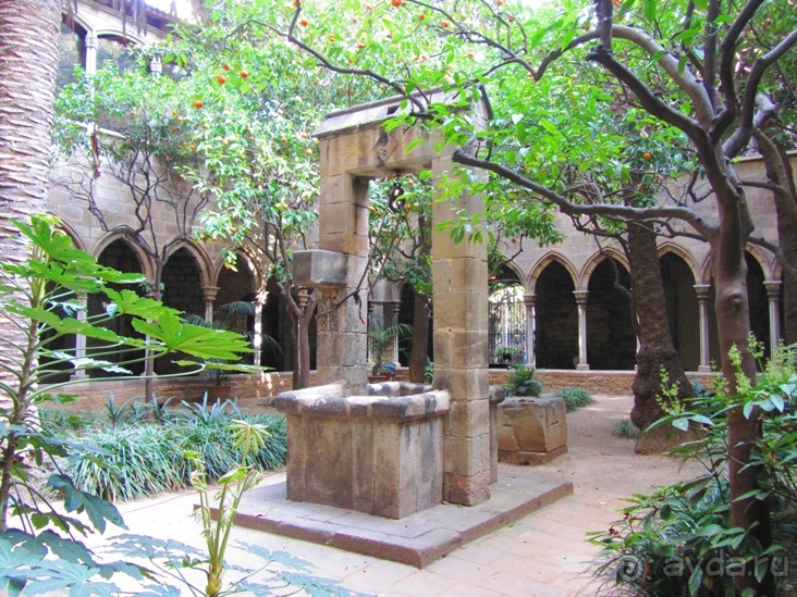 Тайны Барселоны, или была ли жизнь до Гауди ? Часть 2