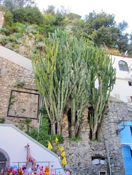 Дороги, которые нас выбирают: Неаполь, четыре "П" и Амальфитанское побережье. Часть 10