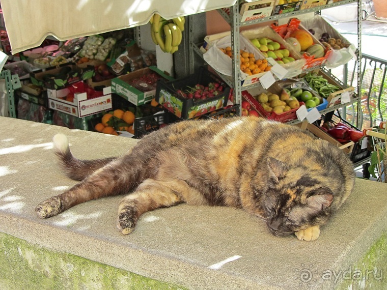 Дороги, которые нас выбирают: Неаполь, четыре "П" и Амальфитанское побережье. Часть 10