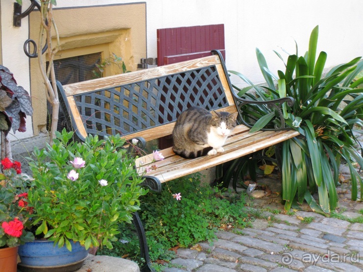 Под небом голубым...октябрьской Баварии (+ Страсбург). Часть 5