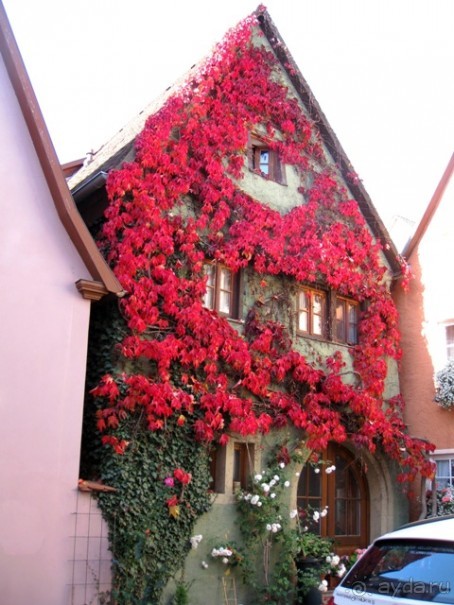 Под небом голубым...октябрьской Баварии (+ Страсбург). Часть 5