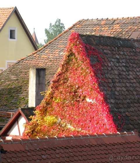 Под небом голубым...октябрьской Баварии (+ Страсбург). Часть 5