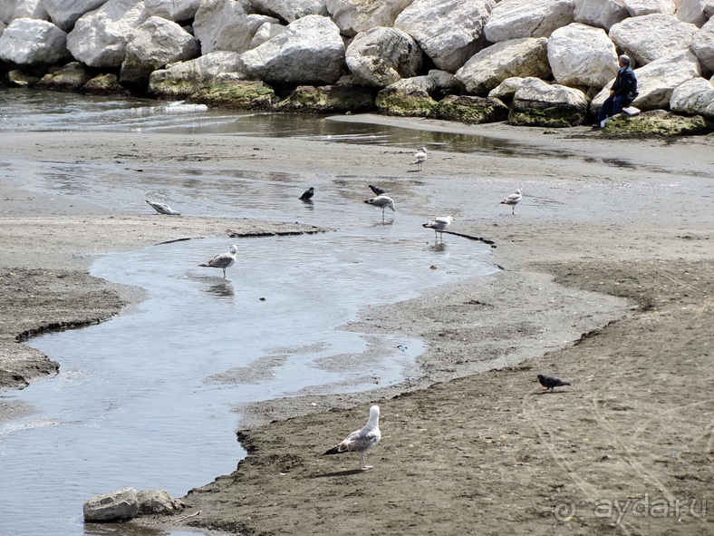 Дороги, которые нас выбирают: Неаполь, четыре "П" и Амальфитанское побережье. Часть 2