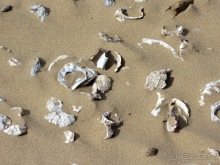 Андалусия-4: Севилья, Кармона, Эсиха, хересный треугольник и кадисский меридиан (часть 4)