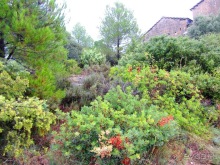 Альбом отзыва "От Таррагоны до Арагона: в глубь Испании - в глубь веков. Часть 2"