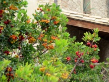 От Таррагоны до Арагона: в глубь Испании - в глубь веков. Часть 2