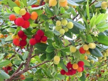 От Таррагоны до Арагона: в глубь Испании - в глубь веков. Часть 2