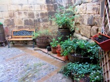 Альбом отзыва "От Таррагоны до Арагона: в глубь Испании - в глубь веков. Часть 2"