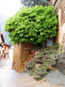 Альбом отзыва "От Таррагоны до Арагона: в глубь Испании - в глубь веков. Часть 2"