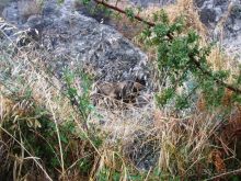 От Таррагоны до Арагона: в глубь Испании - в глубь веков. Часть 2