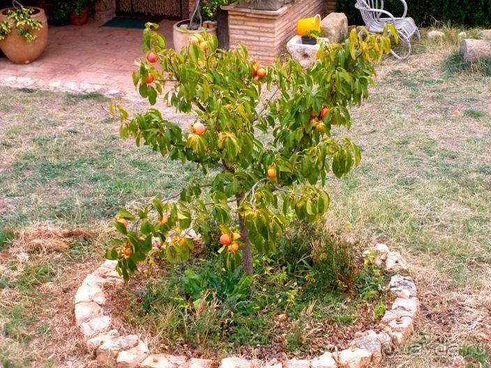 От Таррагоны до Арагона: в глубь Испании - в глубь веков. Часть 2