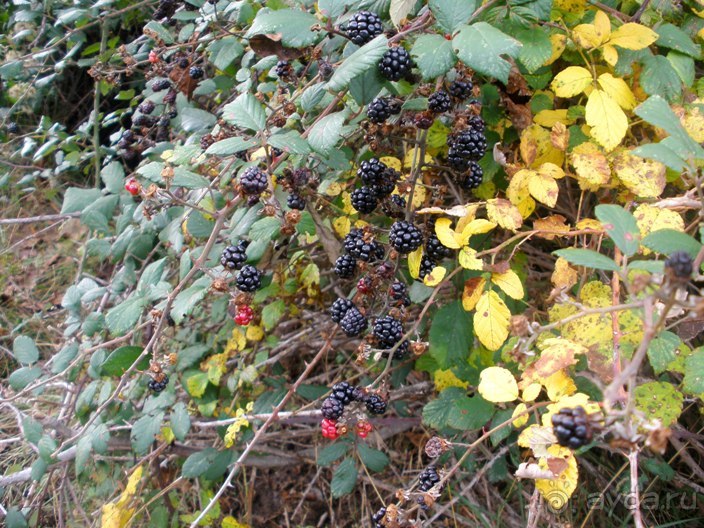 От Таррагоны до Арагона: в глубь Испании - в глубь веков. Часть 2