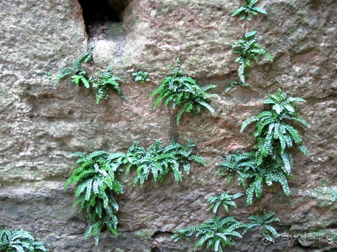 От Таррагоны до Арагона: в глубь Испании - в глубь веков. Часть 2