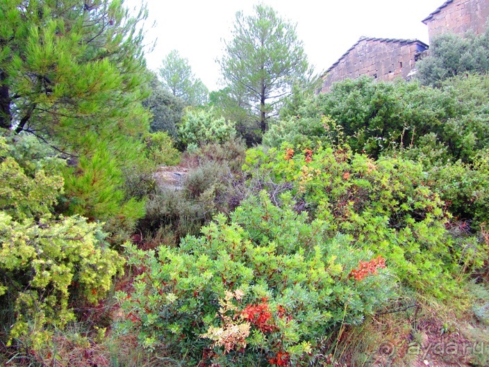 От Таррагоны до Арагона: в глубь Испании - в глубь веков. Часть 2