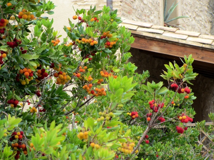 От Таррагоны до Арагона: в глубь Испании - в глубь веков. Часть 2