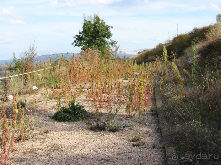 От Таррагоны до Арагона: в глубь Испании - в глубь веков. Часть 2