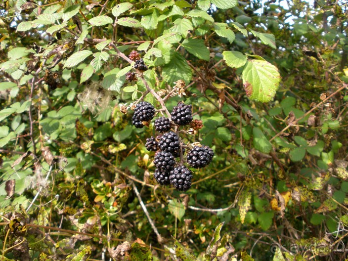 От Таррагоны до Арагона: в глубь Испании - в глубь веков. Часть 2