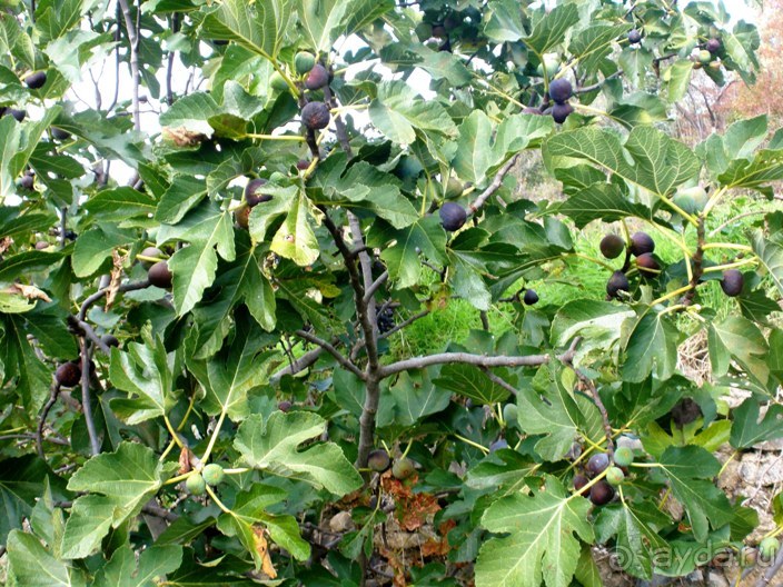 От Таррагоны до Арагона: в глубь Испании - в глубь веков. Часть 2