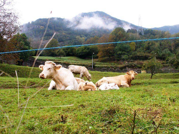 От Таррагоны до Арагона: в глубь Испании - в глубь веков. Часть 2