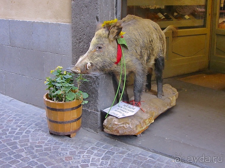 Новая попытка полюбить Италию – Умбрия. Часть 9