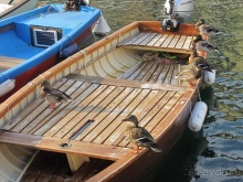 Пицца "североитальянская": Венеция и Венето, Тренто, Падуя и северная Гарда. Часть 10