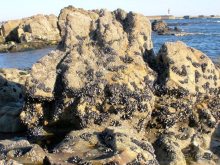 Альбом отзыва "Порту и окрестности (Коимбра, Виана ду Каштело, Брага, Гимарайш, Вила ду Конде) Часть 2"