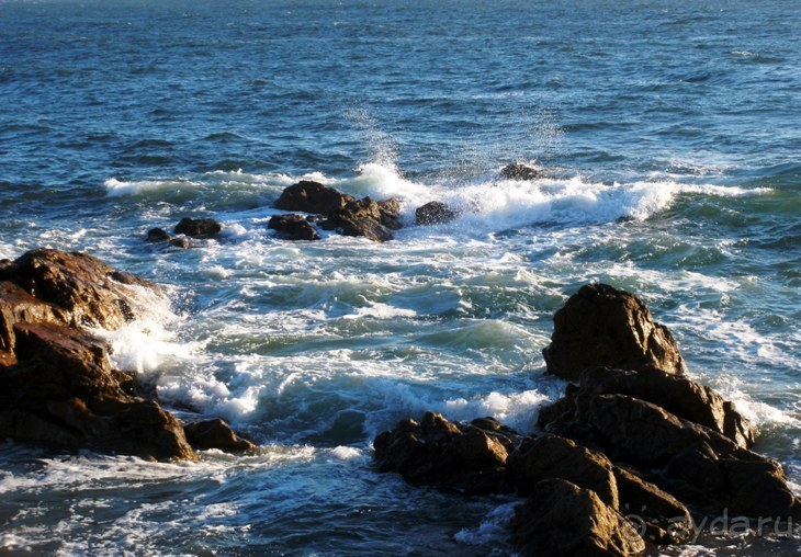 Порту и окрестности (Коимбра, Виана ду Каштело, Брага, Гимарайш, Вила ду Конде) Часть 2