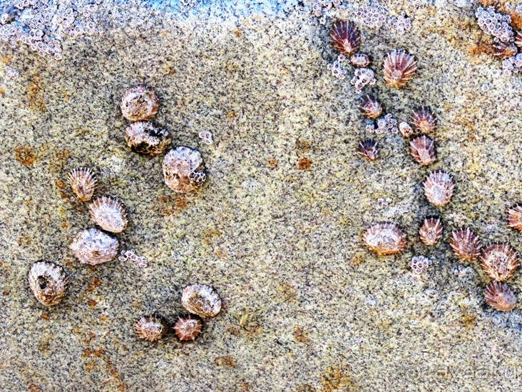 Порту и окрестности (Коимбра, Виана ду Каштело, Брага, Гимарайш, Вила ду Конде) Часть 2