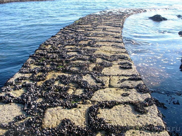 Порту и окрестности (Коимбра, Виана ду Каштело, Брага, Гимарайш, Вила ду Конде) Часть 2