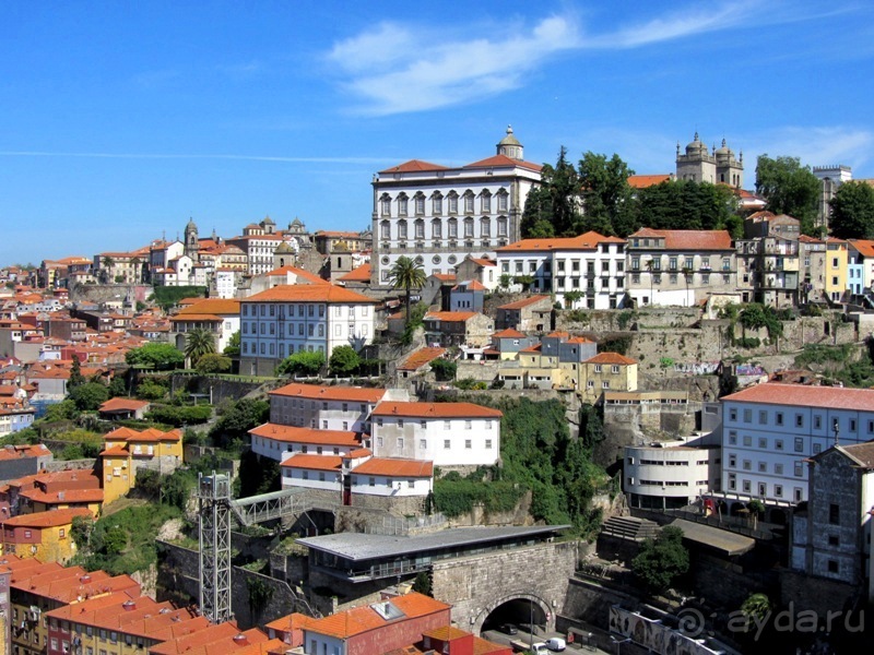 Порту и окрестности (Коимбра, Виана ду Каштело, Брага, Гимарайш, Вила ду Конде) Часть 2