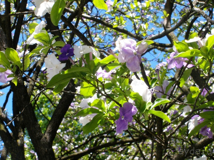Порту и окрестности (Коимбра, Виана ду Каштело, Брага, Гимарайш, Вила ду Конде) Часть 2