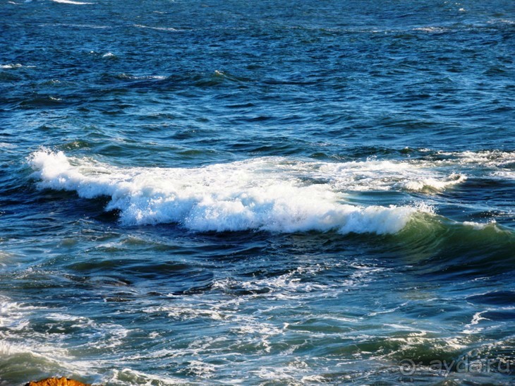 Порту и окрестности (Коимбра, Виана ду Каштело, Брага, Гимарайш, Вила ду Конде) Часть 2