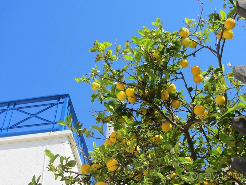 Санторинский кальдероскоп. Белое на голубом. Голубое на белом. Часть 5