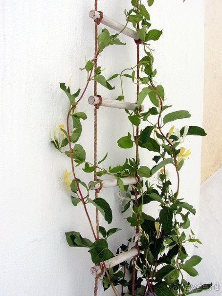 Санторинский кальдероскоп. Белое на голубом. Голубое на белом. Часть 5