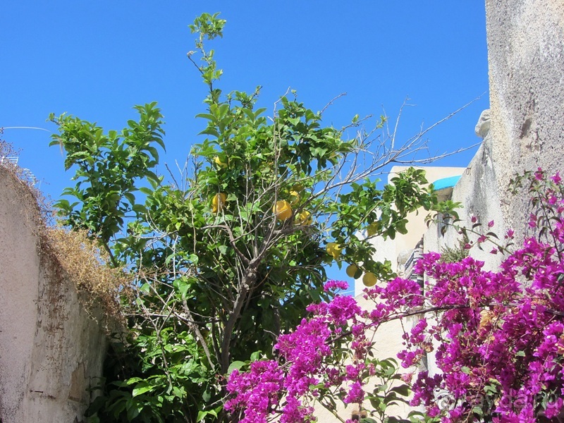 Санторинский кальдероскоп. Белое на голубом. Голубое на белом. Часть 5