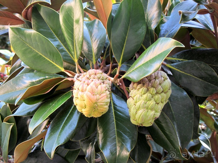 От Таррагоны до Арагона: в глубь Испании - в глубь веков. Часть 1