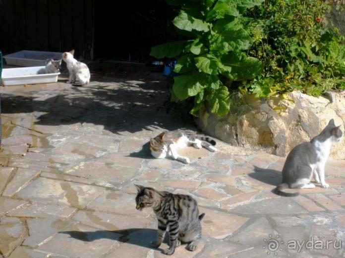 От Таррагоны до Арагона: в глубь Испании - в глубь веков. Часть 1