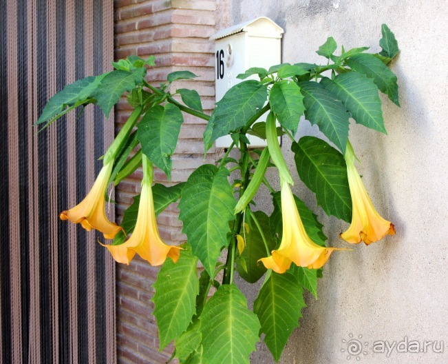 От Таррагоны до Арагона: в глубь Испании - в глубь веков. Часть 1