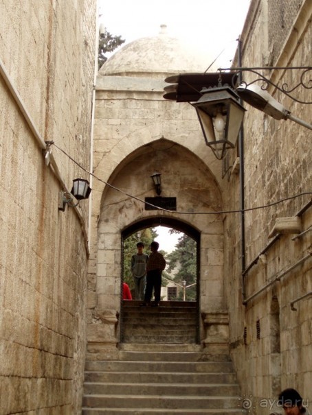 Ближний Восток. Фотоотчёты. Сирия