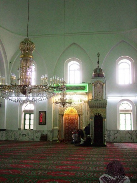 Ближний Восток. Фотоотчёты. Сирия