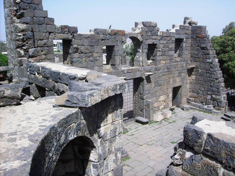 Ближний Восток. Фотоотчёты. Сирия