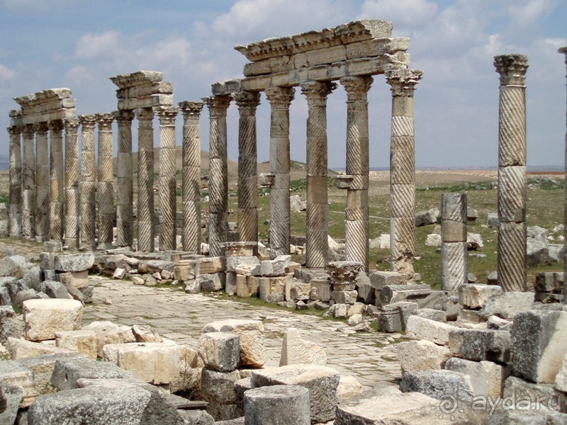 Ближний Восток. Фотоотчёты. Сирия